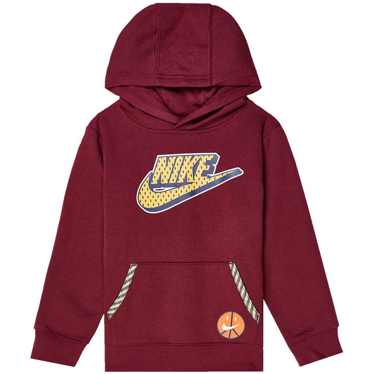 Image 1 of NSW Great Outdoors GFX Pullover Hoodie (Toddler/Little Kids/Big Kids)